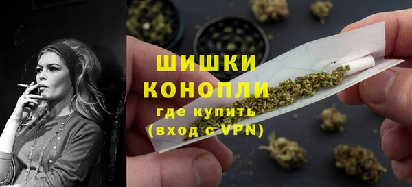 прущие грибы Рославль