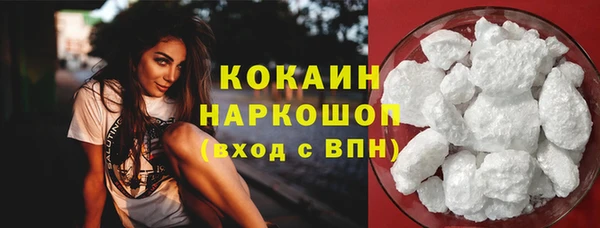 прущие грибы Рославль