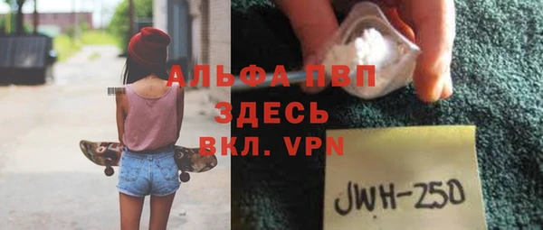 прущие грибы Рославль