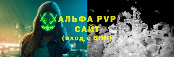 прущие грибы Рославль
