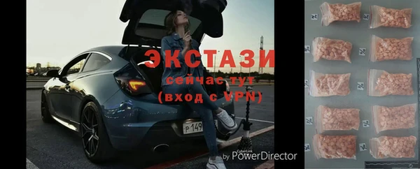 прущие грибы Рославль