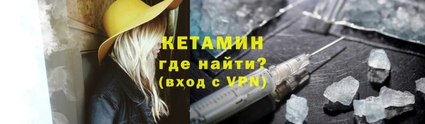 прущие грибы Рославль