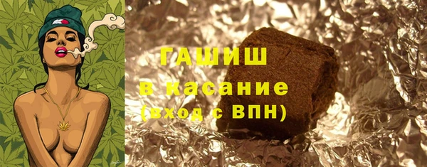 прущие грибы Рославль