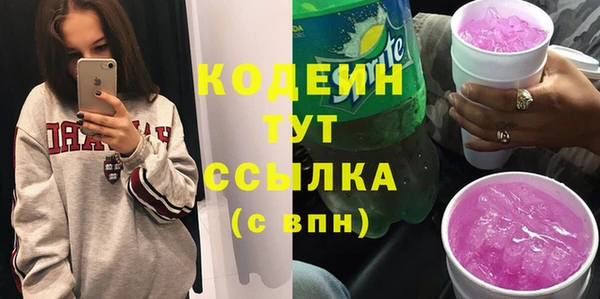 прущие грибы Рославль