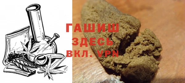 прущие грибы Рославль