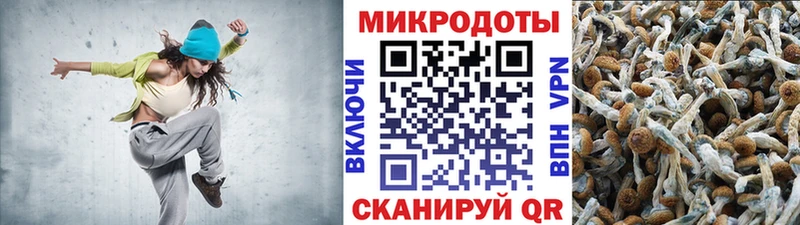 Псилоцибиновые грибы Psilocybe  мега ссылки  Сураж 