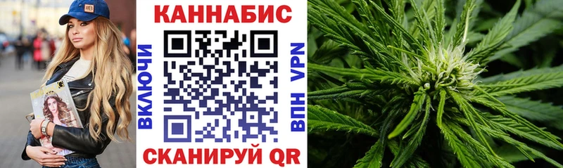 Конопля сатива  Сураж 